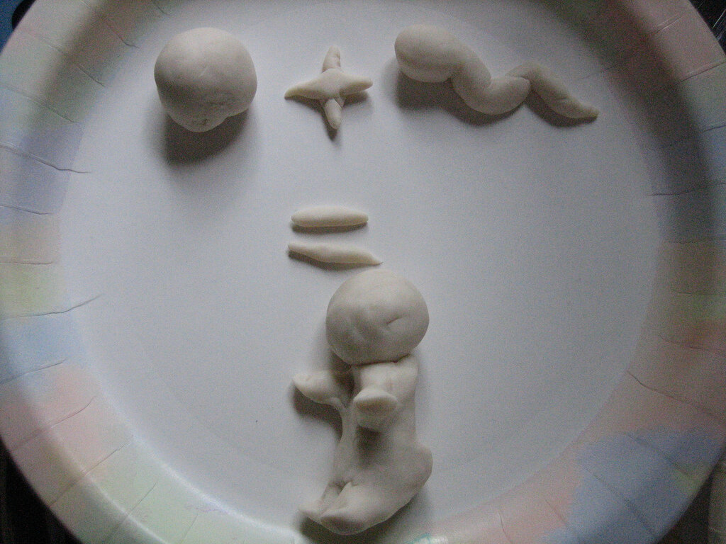 Гонка сперматозоидов – первый тест естественного отбора. Миллионы отважных пловцов отправляются в таинственный путь, преодолевают множество препятствий – и лишь один достигнет желанной цели, оплодотворит яйцеклетку. И возможность зачатия напрямую зависит от подвижности и быстроты сперматозоида – если он неуклюж и плавает слишком медленно, шансы женщины забеременеть снижаются. Как узнать, имеют ли ваши пловцы шанс стать чемпионами?