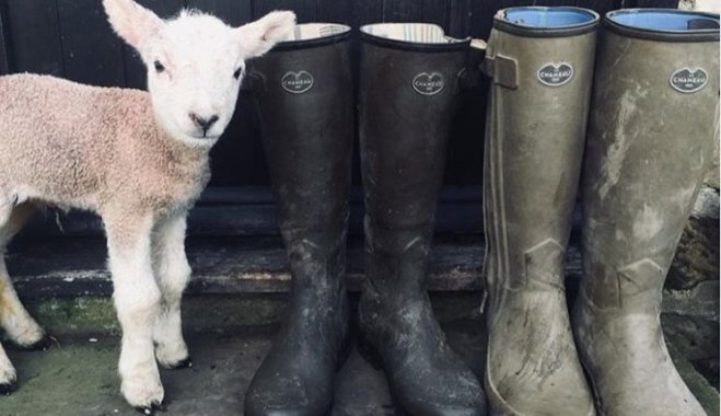 Фото с сайта Delfi