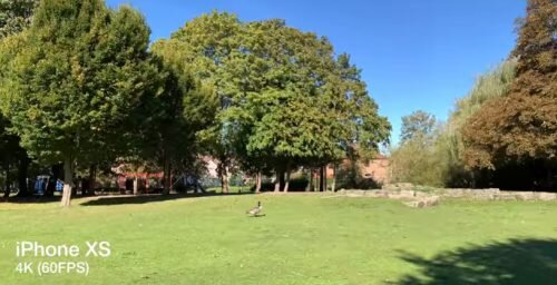 Новый Хонор в 4 раза дешевле десятого Айфона, а по ряду технических характеристик даже превосходит его! Обычно смартфоны сравниваются в одном ценовом сегменте, но Honor 8x встал почти вровень со своим более дорогим «собратом» по качеству, комфорту и функционалу. 
Honor 8x и iPhone XS
Цена Honor 8x около 18 тысяч рублей, а iPhone XS — около 80 тысяч

Внешний вид и защита
Оба устройства радуют тонкой рамкой вокруг дисплея — изображение занимает почти всю переднюю панель телефонов (соотношение корпус/дисплей отличается всего на 1%). У Айфона рамка выполнена из нержавеющей стали, а у Хонора — из алюминия.

Задняя часть у обеих моделей выполнена из стекла, отпечатки пальцев на котором будут появляться вне зависимости от выбранного бренда. У Айфона линейка цветов стандартная (космический серый, золото и серебро), а Хонор можно выбрать в чёрном, синем, розовом и красном исполнении.

Айфон немного компактнее Хонора. Его габариты — 143,6х70,9х7,7 мм против 160,4х76,6х7,8 мм у 8х. При этом Honor легче на 2 грамма (175 против 177г).

Купание не принесёт вреда iPhone XS, а вот подставлять под воду Honor 8x не рекомендуется — в нём защита от влаги не предусмотрена. Защита Айфона IP68 позволяет держать его под водой на глубине двух метров до получаса без вреда для «начинки».

iPhone XS под струёй воды
Во всех моделях iPhone, начиная с iPhone 7, предусмотрена влагозащита

Оба смартфона можно носить без чехла (так утверждает производитель) — на iPhone установлено олеофобное стекло с защитой от царапин, а на Honor — GorillaGlass 3.

Тем не менее мы бы не советовали так опрометчиво поступать с новым девайсом: как показали тесты некоторых блогеров (например, Wylsacom), стекло у айфонов по-прежнему не такое надёжное, а замена будет стоить вам целого состояния.

Управление
Оба девайса «заточены» под управление одной рукой. Меню Айфона смещается в нижнюю половину экрана, но остаётся неизменным по ширине — достать большим пальцем до кнопок на противоположной стороне дисплея может быть не очень удобно.

iPhone XS меню
iPhone XS не всегда удобен в использовании, потому что его меню масштабируется только по одной стороне

В Хоноре решили проблему иначе — хоть смартфон и больше, одноручное управление в нём удобнее. Область меню масштабируется по обеим осям — пользователь лёгким движением руки уменьшает дисплей до удобного размера и без труда достаёт большим пальцем до всех кнопок.

Меню Honor 8x
Меню Honor 8x масштабируется по обеим сторонам

Дисплей
Смотреть видео будет лучше на большом 6,5-дюймовом экране Хонора. Цвета на нём выглядят ярче за счёт использования технологии IPS LCD. На Айфоне с дисплеем 5,8 дюйма использована технология SAMOLED, поэтому цветовая гамма получается спокойнее. Победа по плотности пикселей за Айфоном (458 против 397 ppi), но на деле разница в чёткости практически не ощущается.

В Хоноре есть встроенная функция сокрытия выреза — чёрной выступающей полоски в верхней части дисплея (так называемой чёлки).

Безопасность
Оба смартфона обладают функцией FaceID и распознают лица за миллисекунду.

Задняя панель Honor 8x
В Honor 8x предусмотрены FaceID и TouchID

В Хоноре есть альтернатива FaceID — сканер отпечатка пальца на тыльной стороне устройства. При обычном захвате до него легко достаёт указательный палец, а распознавание проходит быстро и без проблем. Что использовать — решать пользователю.

Память
Айфон можно купить со встроенной памятью объёмом 64, 256 или 512 Гб. Хонор предлагает только 64 или 128 Гб, но «бьёт» отличным бонусом — отдельным слотом для карты памяти до 400 Гб.

Слот для карты памяти в Honor 8x
В Honor 8x один слот — для карты памяти и двух сим-карт

В 8х не придётся делать выбор между второй симкой и дополнительными гигабайтами — установить желаемый объём можно в любой момент. В iPhone XS лучше заранее определиться с тем, сколько памяти нужно — расширения не предусмотрены даже в виде слота двойного назначения.

Автономность
Экран у Honor 8x больше, чем у Айфона 10, но на автономности устройства в худшую сторону это не сказывается. Срок жизни несъёмного аккумулятора Хонора — 3750 мАч, что впечатляет гораздо больше, чем 2658 мАч у iPhone.

Время работы обоих девайсов примерно одинаковое — около полутора дней при смешанном использовании. Если сравнивать воспроизведение видео, Айфон немного дольше держит полный заряд, но при неполной батарее оба устройства разряжаются с одинаковой скоростью.

Если смартфон нужен для просмотра видео, особой разницы по времени использования не будет. При обычном использовании Хонор проработает дольше.

Камеры
В этой категории iPhone оставляет оппонента далеко позади. При съёмке видео владельцы десятого Айфона могут создавать ролики разрешением UHD на 24, 30 или 60 fps. Стабилизация отлично работает даже при съёмке в движении.

Видео на iPhone xs
Скриншот с видео, снятого на iPhone xs

Качество видео на Honor не поднимется выше 1080p при 30 или 60 fps, к тому же при записи или трансляции на ходу вы получите дёрганый видеоряд.

Видео на Honor 8x
Скриншот с видео, снятого на Honor 8x

Хонор впечатляет, когда дело касается обычных фотографий. Если сравнивать фото с iPhone XS и Honor 8x, не всегда понятно, на какое устройство сделан тот или иной снимок.

iPhone xs снимок
Снимок на iPhone xs

Honor 8x снимок
Снимок на Honor 8x

Результатом ночной фотосъёмки с Айфоном будут приятные фотографии без размытия. Хонор отстаёт не сильно, передавая картинку большей, чем у Айфона, контрастности. Детализация кадров на 8х ниже, но свою стоимость девайс отрабатывает на отлично.

iPhone xs ночной снимок
Снимок в ночном режиме на iPhone xs

Honor 8x ночная съёмка
Снимок в ночном режиме на Honor 8x

Быстродействие
В процессоре Айфона шесть ядер (а не 8, как в процессоре Хонор), но мощность и быстродействие выше. Например, игра PUBG на iPhone отлично пойдёт с высокими настройками графики, а на Honor придётся довольствоваться средними настройками для сохранения того же уровня отзывчивости и быстродействия.

в A12 Bionic 2 ядра по 2,5 ГГц Vortex и 2 — по 1,6 ГГц Tempest;
в Kirin 710 4 ядра по 2,2 ГГц Cortex A-73 и 4 — по 1,7 ГГц Cortex A-53.
За графику в Айфоне отвечает четырёхъядерный Apple GPU, а в Хоноре — Mali-G51 MP4.

Что купить в 2019
Десятый iPhone лучше Honor 8x по мощности, может заряжаться в беспроводном режиме и гораздо детальнее снимает видео. Но вместо одного Айфона вы можете купить 4 Хонора на всю семью.

Передние панели iPhone xs и Honor 8x
iPhone xs и Honor 8x достаточно легко отличить по внешнему виду: Хонор крупнее «яблочного» девайса

Выбирать iPhone X стоит, если вам нужен смартфон:

с защитой от воды,
для «тяжёлых» игр на максимальном качестве видео,
с хорошей стабилизацией видеосъёмки,
на iOS.
Honor 8x идеален, если нужен телефон:

с хорошей фотосъёмкой,
на Android,
удобный,
недорогой.
У обоих аппаратов есть достоинства и недостатки. Что предпочесть — зависит от того, в каких условиях вы собираетесь использовать гаджет. Если телефону не грозит купание, и вы не планируете использовать его как миниатюрный гейм-центр, то лучше купить Хонор 8х.