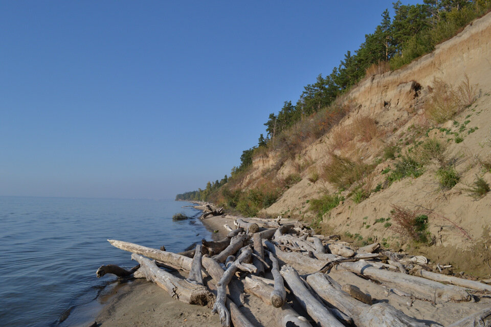 Топляк на Обском море