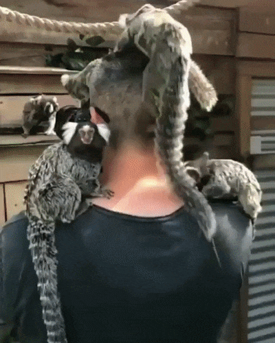 Ой, а что это вы тут фотографируете?