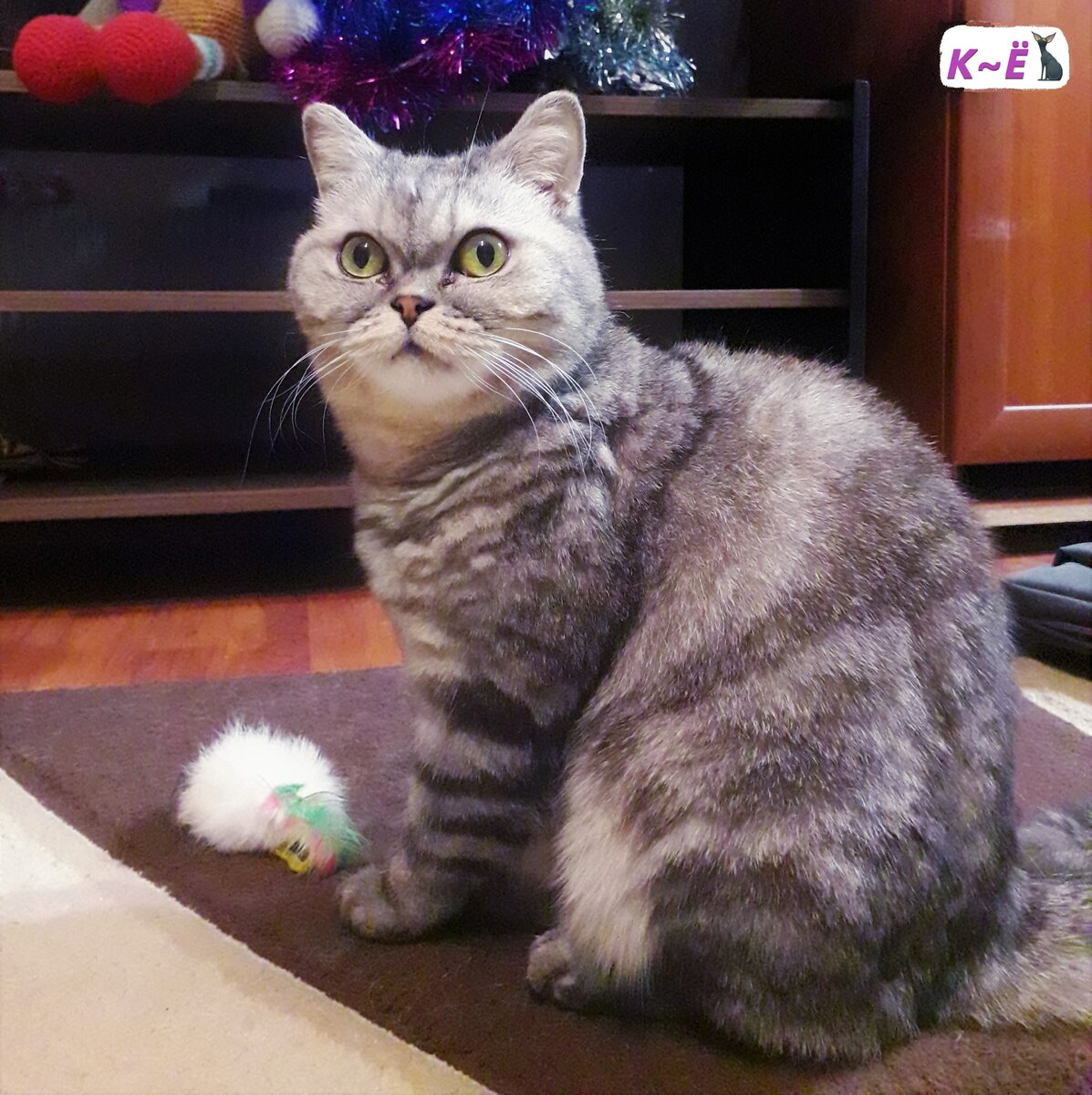 В январе мы и не подозревали, что наша Масюнька болеет