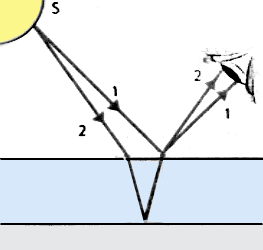 S - источник света (Солнце); 1 - луч, отраженный от поверхности бензиновой пленки; 2 - луч, прошедший через бензиновую пленку и отраженный от границы бензина и воды