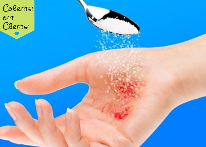 Фото из открытых источников интернета