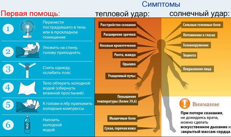 Первая помощь при солнечном и тепловом ударе. Фото: http://ozdormed.ru/articles/82-solnechnyi-udar-simptomy-i-pervaja-pomosch.html
