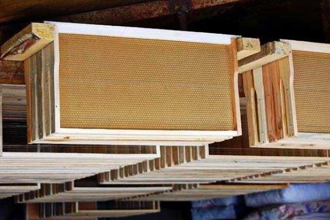 шкаф для хранения пчелиных рамок своими руками. ящик для хранения рамок. стеллаж хранение сотовых рамок. сохранность рамки. хранилище для рамок пчелиных.