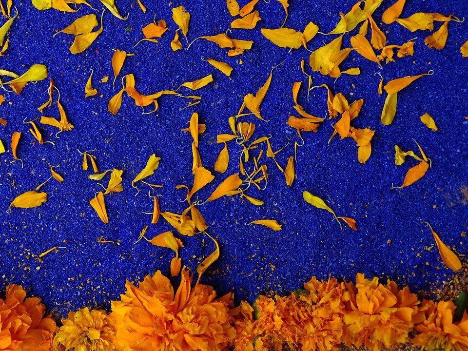 Фото: pixabay.com