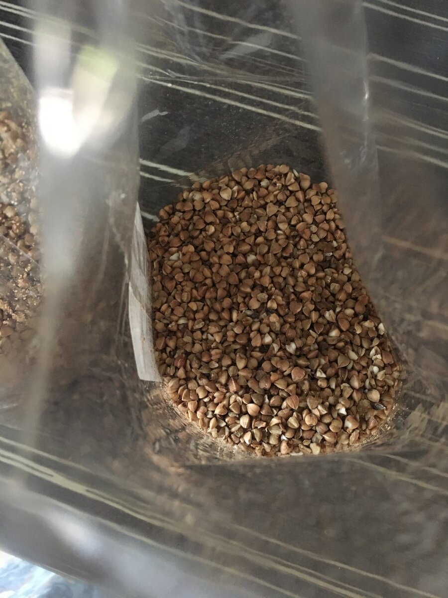 Даже если это - гречка