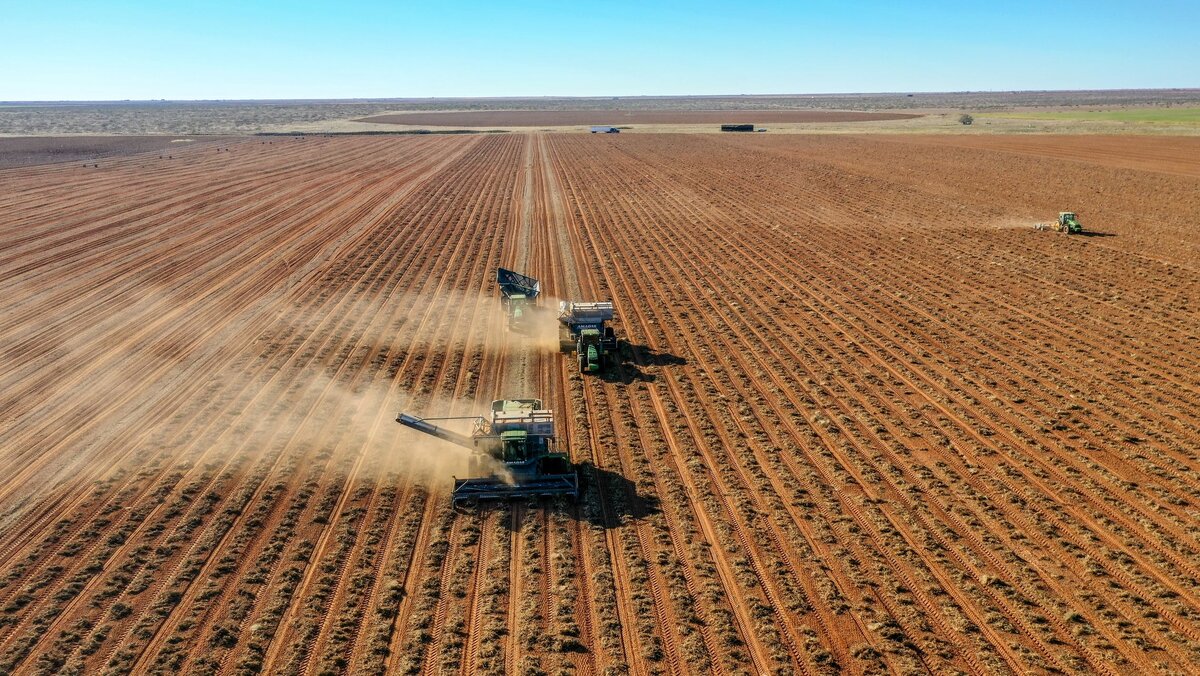 Последние десять лет роста экспорта из штатов США в Китай дают радужную картину: цифры роста в трехзначных цифрах и более и рост в годовом исчислении измеряются миллиардами долларов.  В 2017 году США экспортировали в Китай рекордные товары на сумму 127,9 миллиардов долларов, охватывающие все - от сои до космоса. В следующем году произошло значительное снижение и упадок всего, сократив товары на 9 миллиардов долларов, что нанесло вред. В то время как воздействие экспорта,  совершенно прозрачно для политиков и бизнесменов в Вашингтоне, оно не является очевидным для повседневной жизни типичных американцев и ничего критического не случилось. 