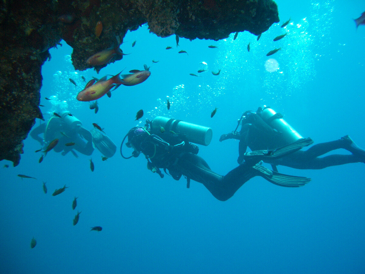 Дайвинг в Новомихайловке