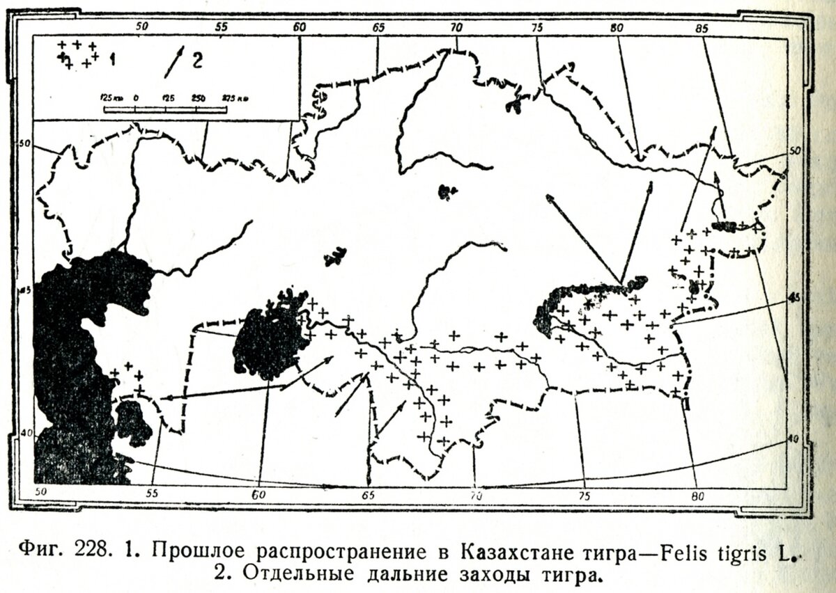 Туранский коридор