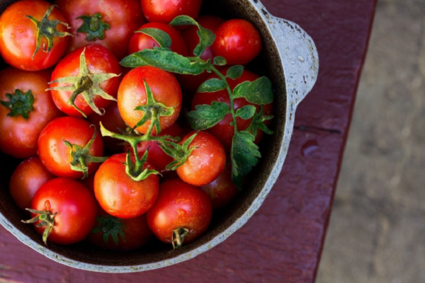 фото:https://narodna-pravda.ua