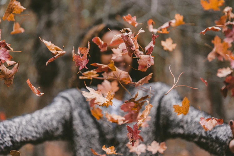 https://unsplash.com/photos/uE_N2i6-TRM