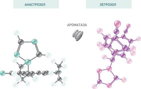 Ингибиторы ароматазы при раке