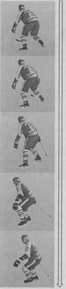 В этом отношении эффективен бег спиной вперед скрестными шагами, он значительно сложнее по координации и исполнению. В этом виде бега на коньках