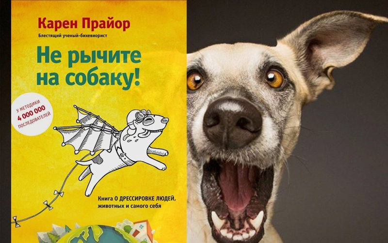 Дрессировка животных и людей