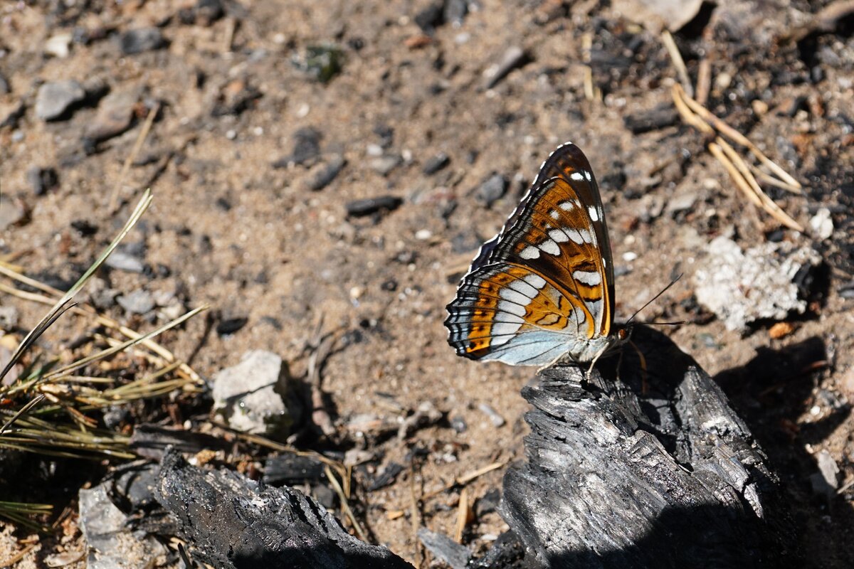 Фото: Анна Демакова