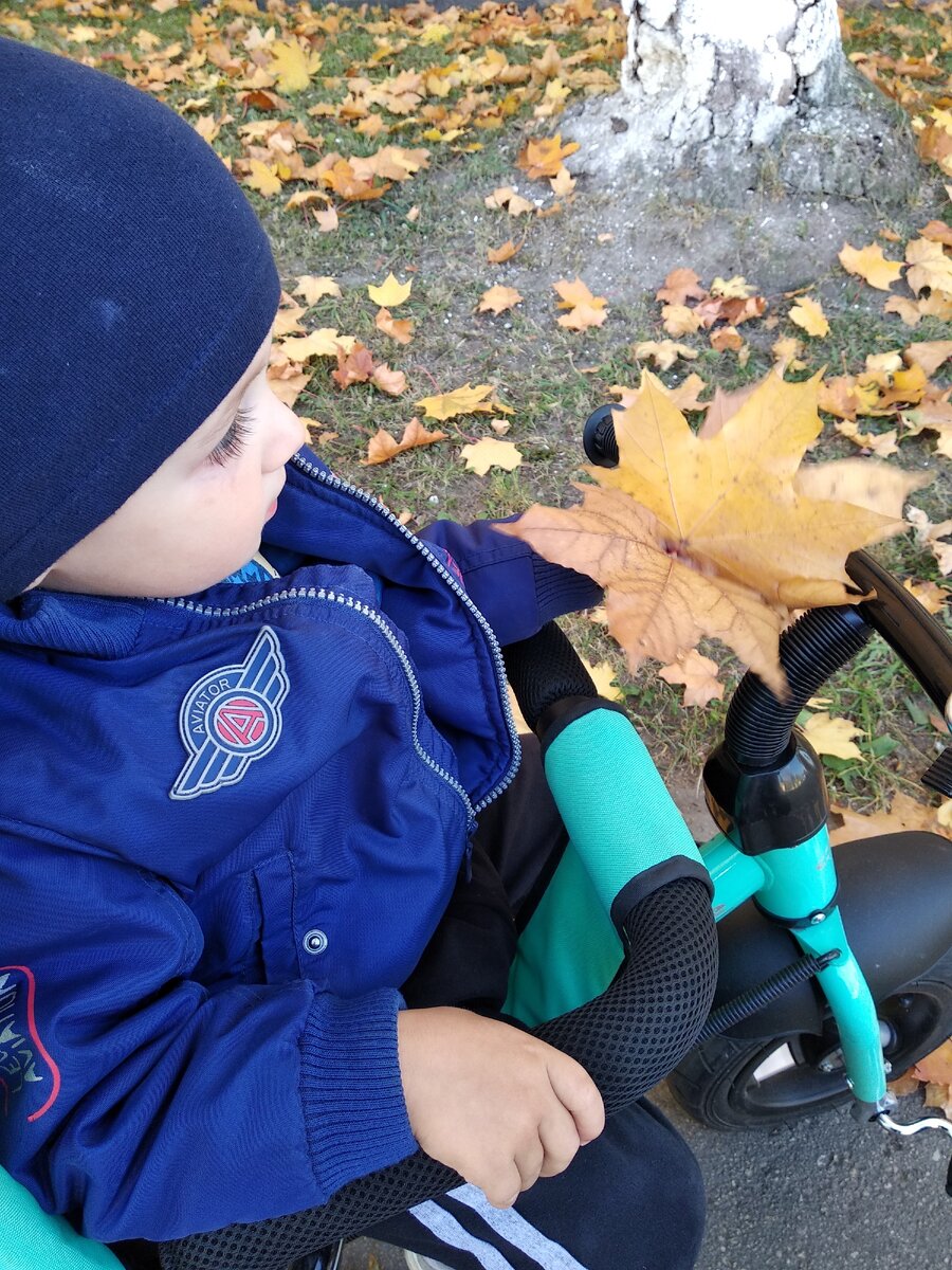 Осенние краски безумно красивы!