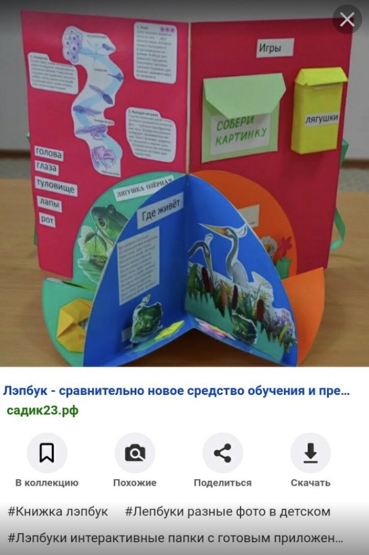 Скрин-шот страницы из Интернета. Поиск картинок по запросу «лэпбук». 