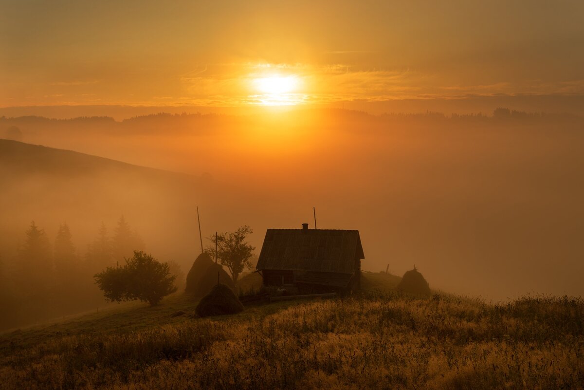 Яндекс.Картинки