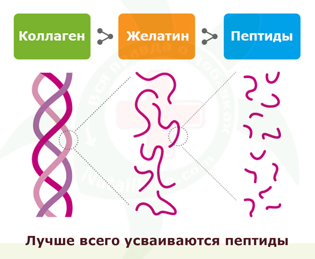 Чем можно дешевле заменить коллаген Как сохранить молодость кожи и здоровье суставов и связок? Одна из 3-ех лучших д