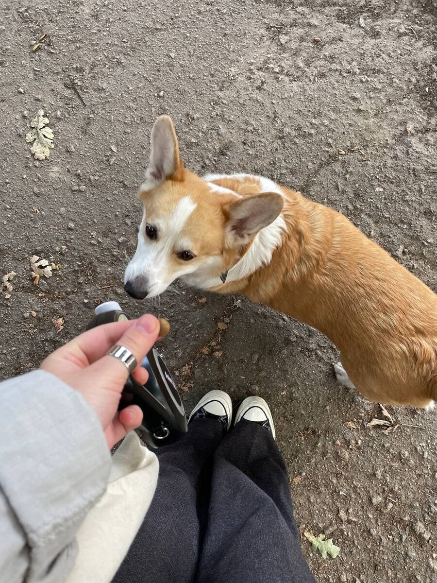 Еще та попрошайка