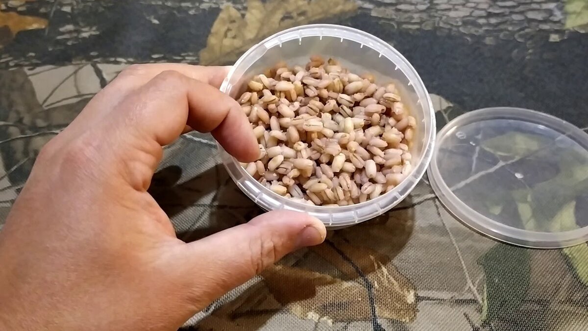 Фото с сайта: https://i.ytimg.com