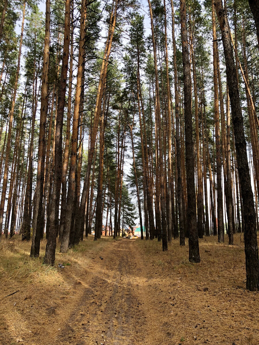 Фото из личного архива 