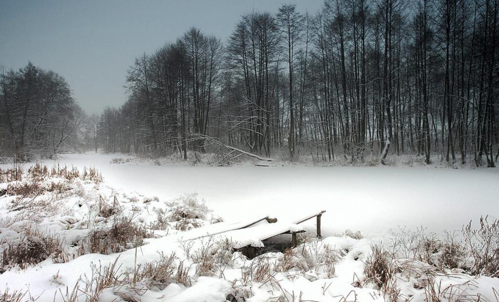 Фото — apn-nn.com