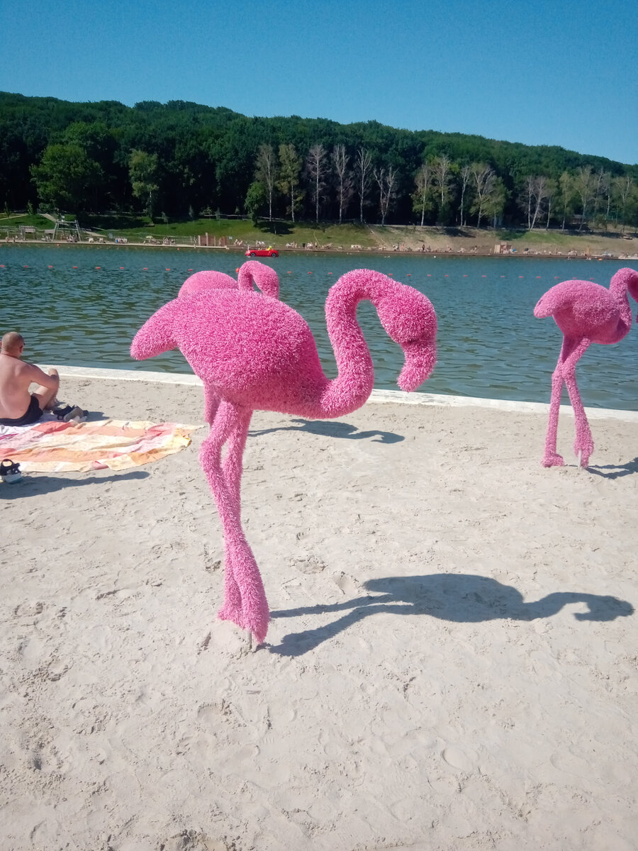 Ставрополь. Комсомольский пруд.