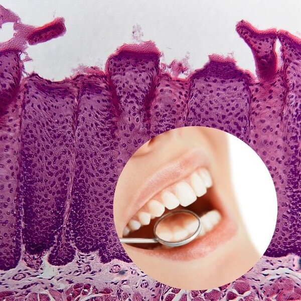 30 de fapte puțin cunoscute despre corpul uman care nu sunt predate la școală