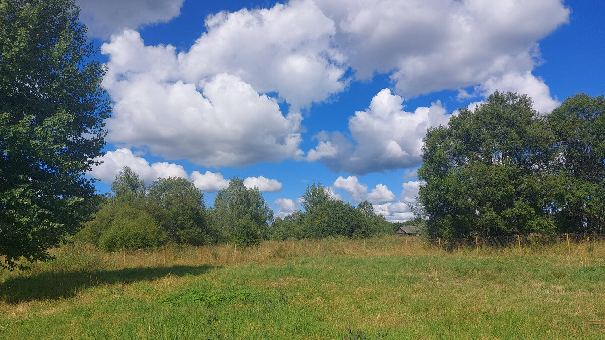 Красоты вам повсюду