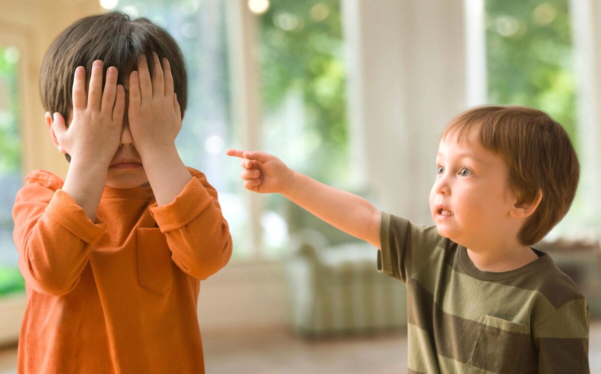 Родительские разборки, как у детей.