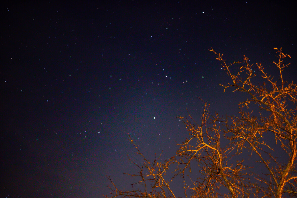 Море и звезды. Лунная дорога. Всяка ночь. Всяка ночь. Магическая ночь.