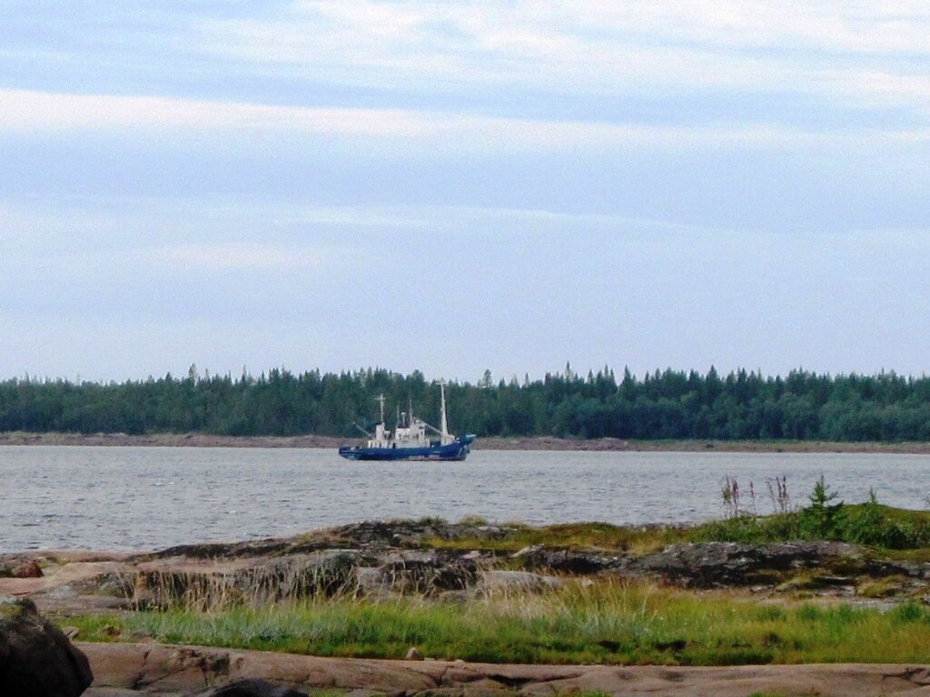 Побережье белого моря впадение реки БАГРЯНИЦА