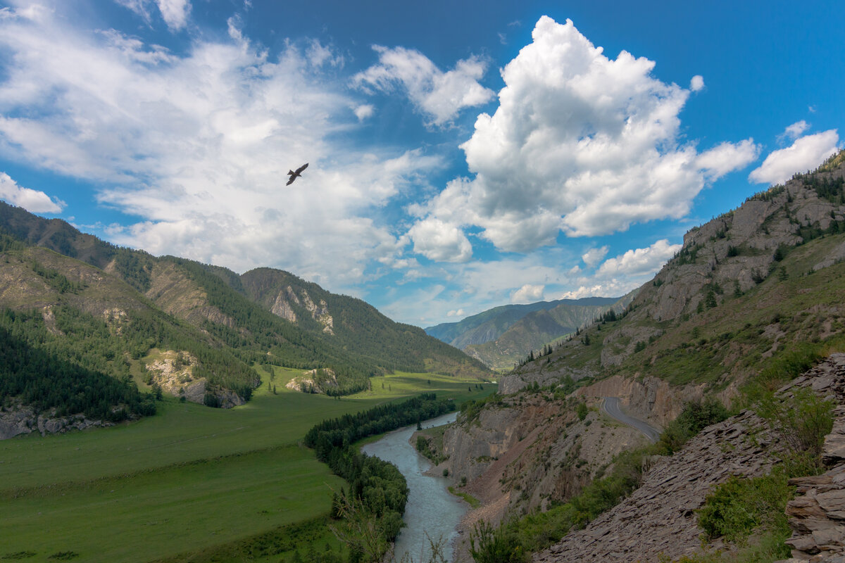 Что смотреть на Чуйском тракте? Гейзерное озеро, порог Бегемот, старый ...