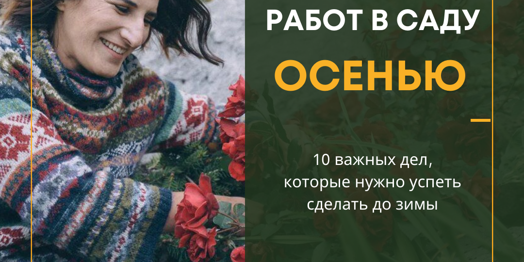 Список осенних работ в саду