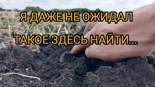 Я ДАЖЕ НЕ ОЖИДАЛ ТАКОЕ ЗДЕСЬ НАЙТИ...