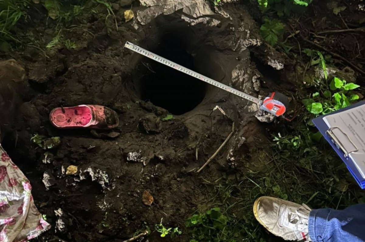    Яму, предположительно, выкопал мужчина для установки столба.