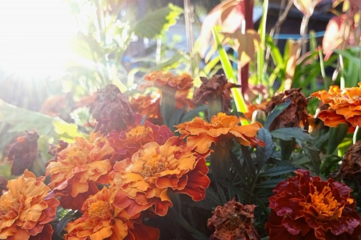    На этой неделе в Татарстане сохранится теплая погода