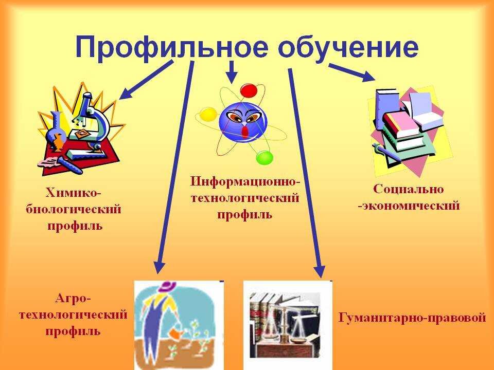 Презентация профильных классов. Информационно- экономический профиль. Гуманитарно правовой профиль в школе. Химико-биологический профиль в школе или соц-эконом. МОУ СОШ №25 (химико-биологический профиль) Сочи.