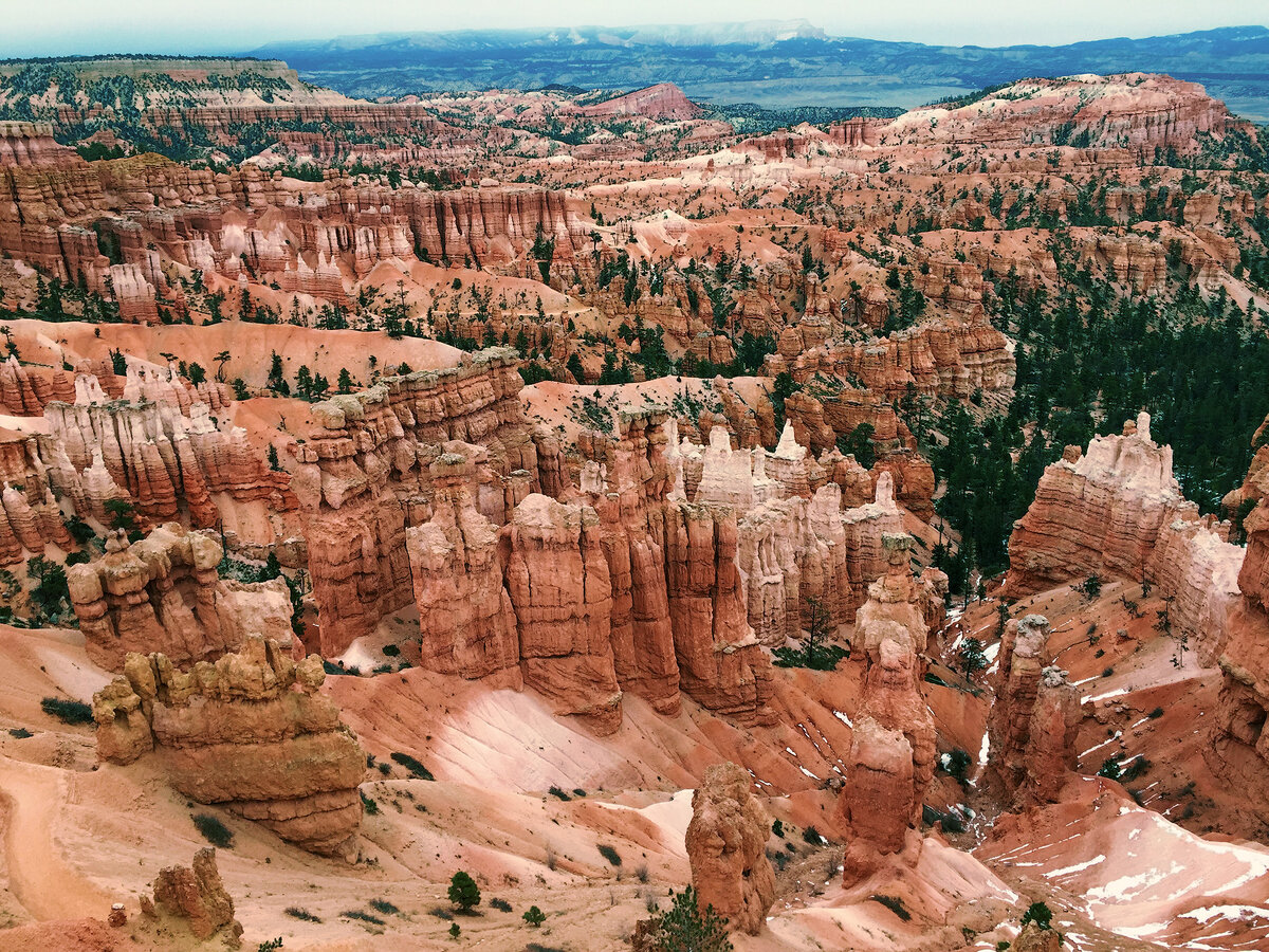 Bryce 