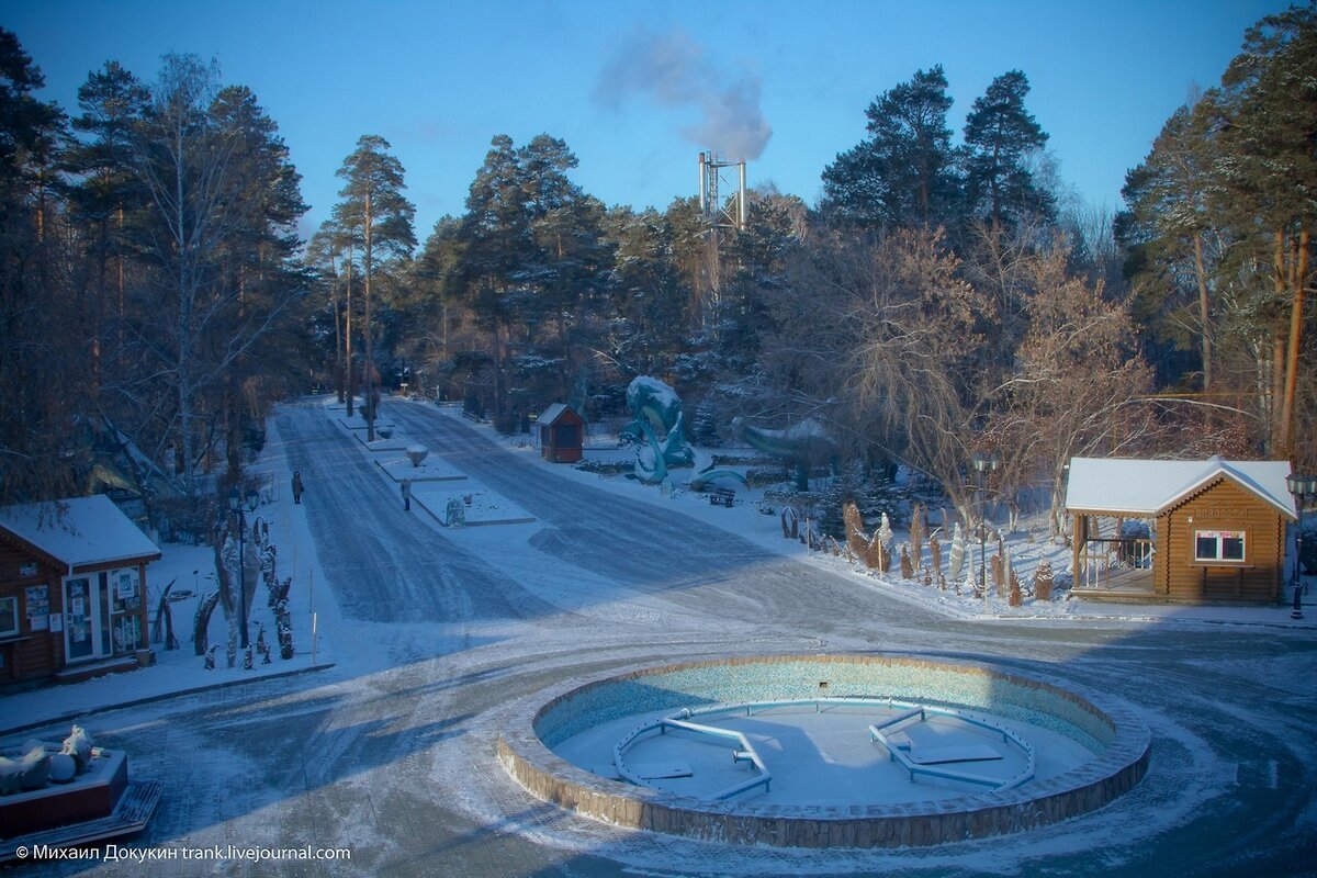 Зоопарк новосибирск зимой