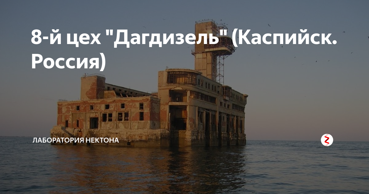 Каспийск цех 8 в море. Дагдизель Каспийск 8 цех. Восьмой цех завода «Дагдизель», Каспийск. Завод Дагдизель в Каспийске. Цех Дагдизель в море Каспийск.