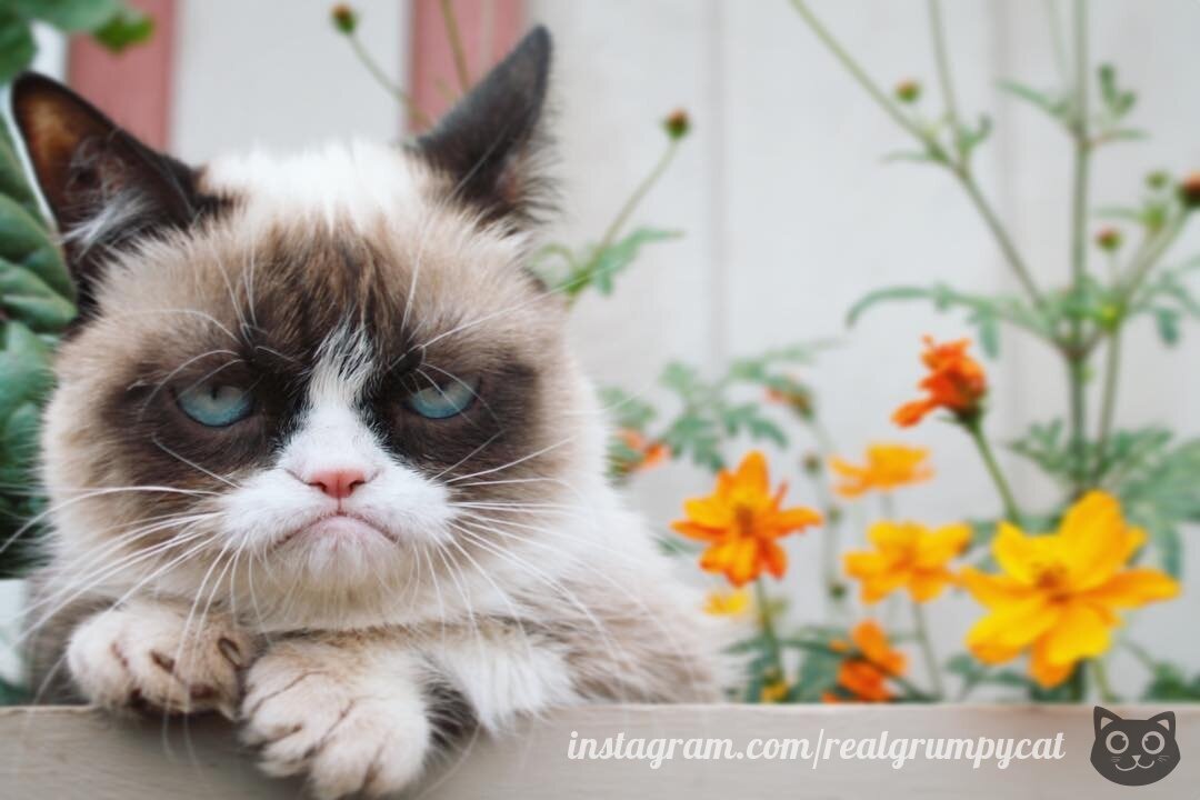 "Любишь ли ты весну, как и я?"