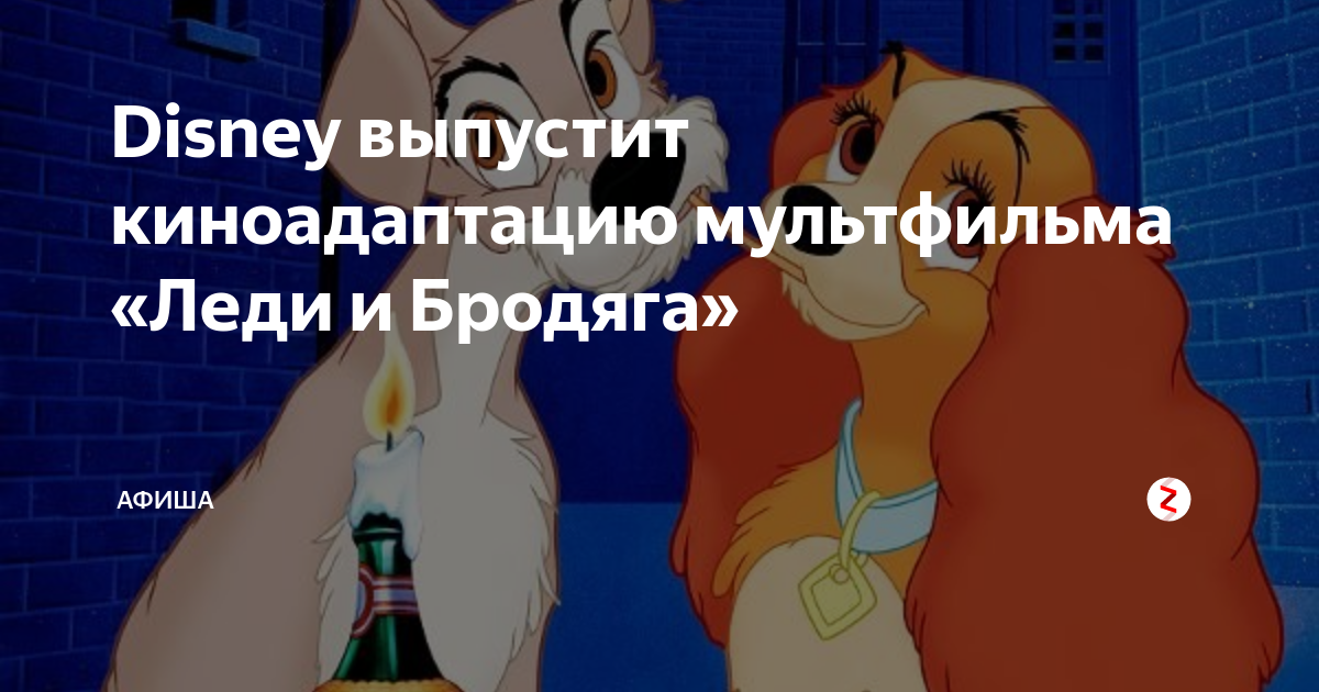 Disney выпустит киноадаптацию мультфильма «Леди и Бродяга» | АФИША | Дзен