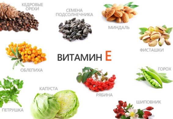 В чем польза витамина Е для женщин, мужчин и детей? | Блог Светланы  Белошенко | Дзен
