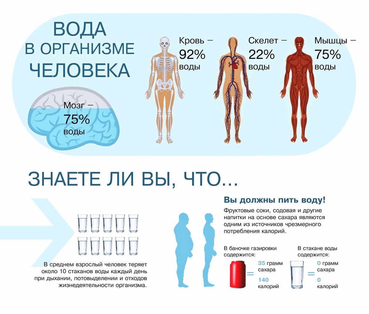 Вода в организме. Ода в организме человека.. Вода в человеческом организме. Баланс воды в организме.