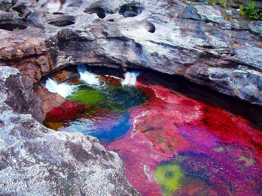 А сколько цветов видите Вы?