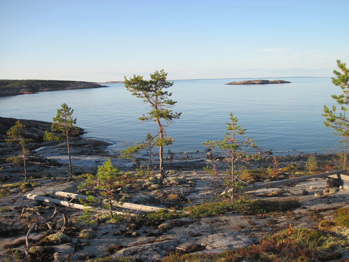 пежостров белое море